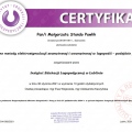 Powiększ obraz: certificate 13