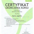Powiększ obraz: certificate 8