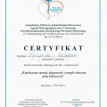 Powiększ obraz: certificate 13