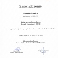Powiększ obraz: certificate 13