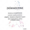 Powiększ obraz: certificate 6