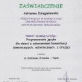 Powiększ obraz: certificate 7