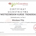 Powiększ obraz: certificate 7