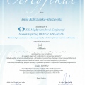 Powiększ obraz: certificate 10