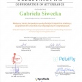 Powiększ obraz: certificate 3