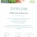 Powiększ obraz: certificate 8