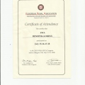 Powiększ obraz: certificate 4