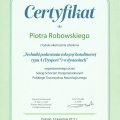 Powiększ obraz: certificate 6