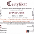 Powiększ obraz: certificate 24