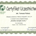 Powiększ obraz: certificate 13