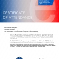 Powiększ obraz: certificate 13