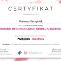Powiększ obraz: certificate 8