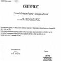 Powiększ obraz: certificate 1