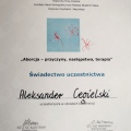 Powiększ obraz: certificate 3