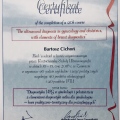 Powiększ obraz: certificate 1