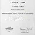 Powiększ obraz: certificate 2