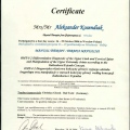 Powiększ obraz: certificate 16