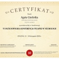 Powiększ obraz: certificate 5