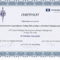 Powiększ obraz: certificate 4