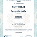 Powiększ obraz: certificate 167