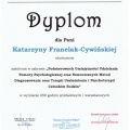 Powiększ obraz: certificate 3
