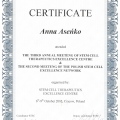 Powiększ obraz: certificate 20
