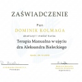 Powiększ obraz: certificate 10