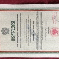 Powiększ obraz: certificate 5