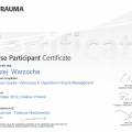 Powiększ obraz: certificate 13