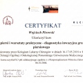 Powiększ obraz: certificate 9