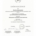Powiększ obraz: certificate 4