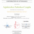 Powiększ obraz: certificate 7