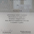 Powiększ obraz: certificate 7