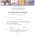 Powiększ obraz: certificate 7