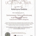 Powiększ obraz: certificate 7