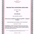 Powiększ obraz: certificate 2