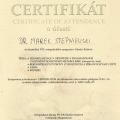 Powiększ obraz: certificate 34