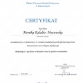 Powiększ obraz: certificate 23