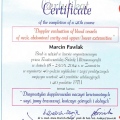 Powiększ obraz: certificate 1