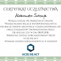 Powiększ obraz: certificate 11