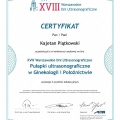 Powiększ obraz: certificate 21