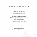Powiększ obraz: certificate 11