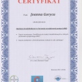 Powiększ obraz: certificate 2