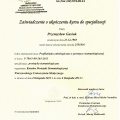 Powiększ obraz: certificate 7
