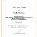 Powiększ obraz: certificate 5