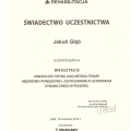 Powiększ obraz: certificate 20