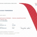 Powiększ obraz: certificate 1