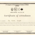 Powiększ obraz: certificate 16