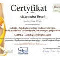 Powiększ obraz: certificate 2