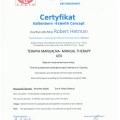 Powiększ obraz: certificate 11